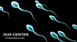 Highly effective wazifa to cure low sperm count | Dua to increase sperm count - Sperm badhane ka wazifa | mardana quwwat me izafa
