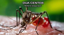 dengue fever wazeefa dua islamic treatment, dendue bukhar ka ilaj